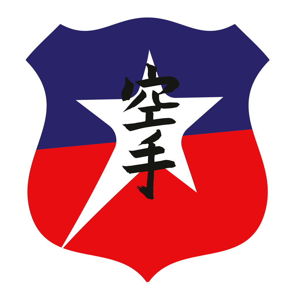 FEDERACIÓN CHILENA E INTERNACIONAL DE KARATE DE CONTACTO