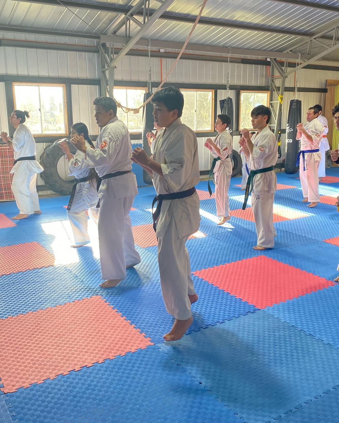Dojo centro de entrenamientos federación chilena de karate de contacto La foresta de Zapallar
