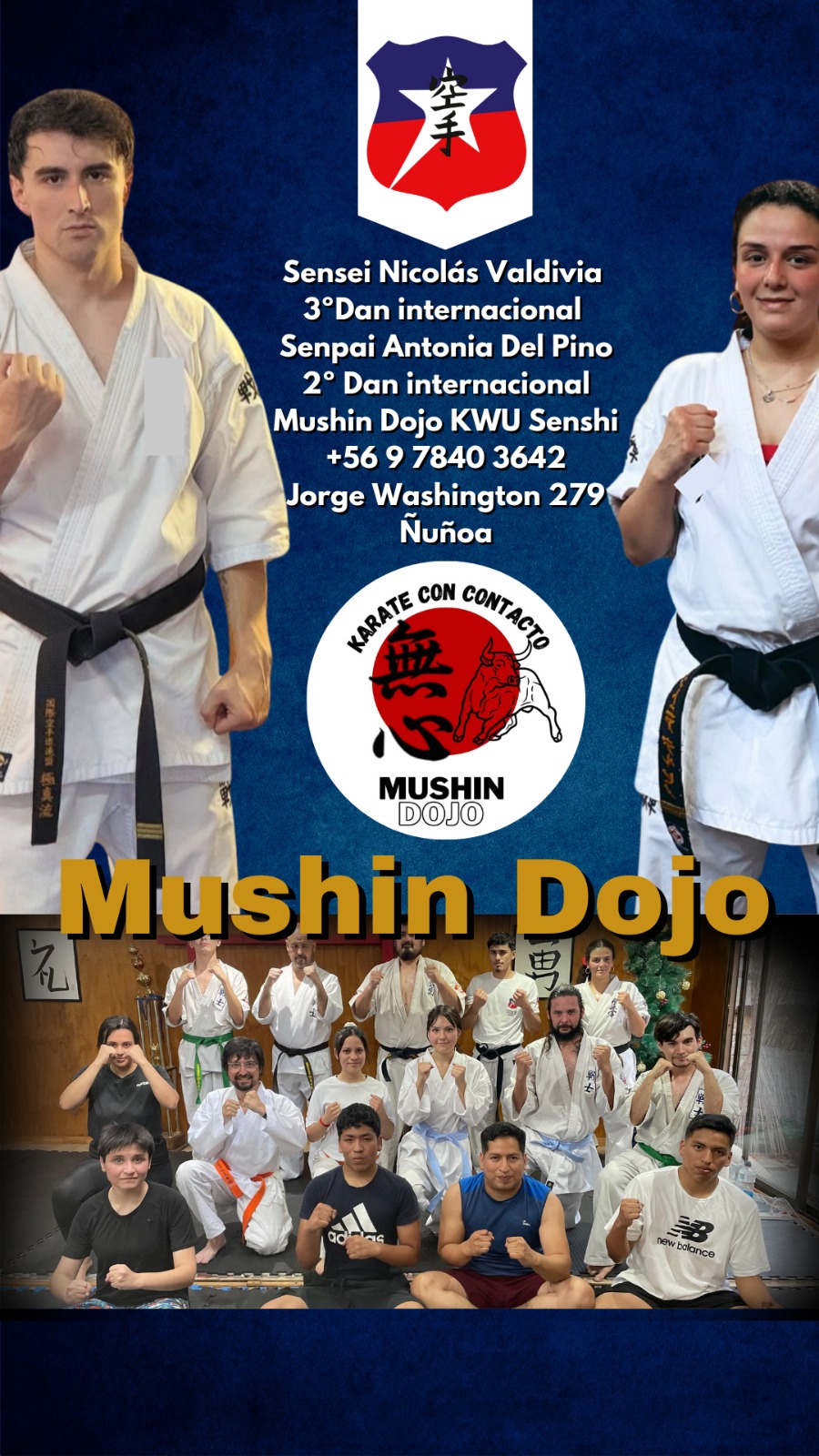 Mushin Dojo