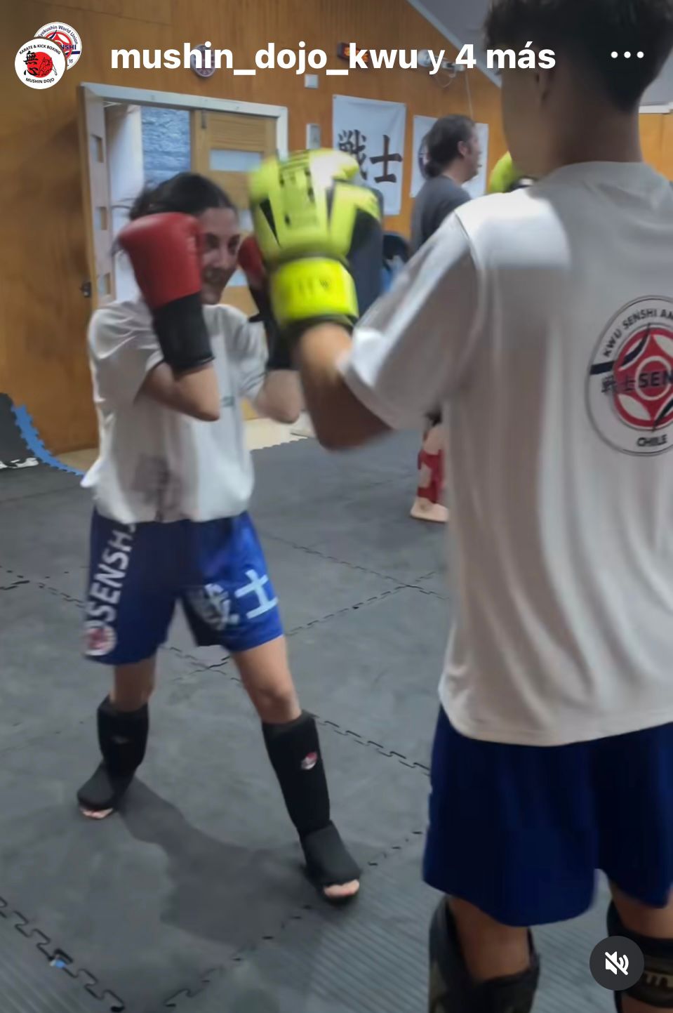 Dojo Mushin Center Nuñoa